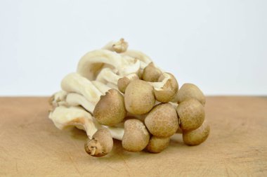  ham buna shimeji Japon mantar ahşap chop üzerinde beyaz arka planda engellemek