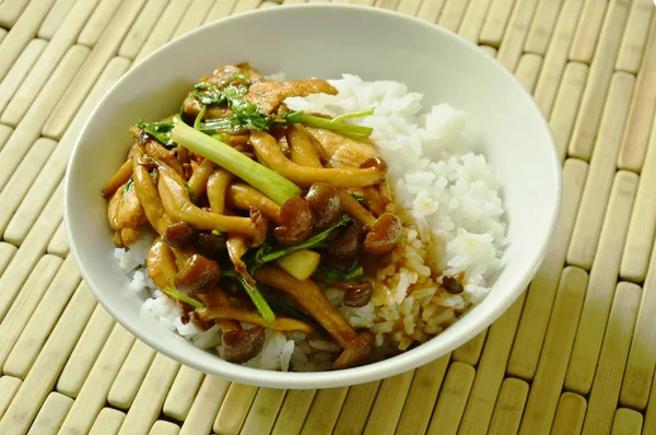  Kızarmış shimeji mantarlı tavuk tepesi ile pirinç üzerine ilave edin.