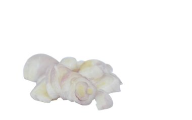 Beyaz arka plan üzerinde dilim taze soğancık