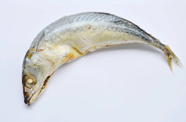 Gekochter Makrelenfisch auf weißem Hintergrund — Stockfoto