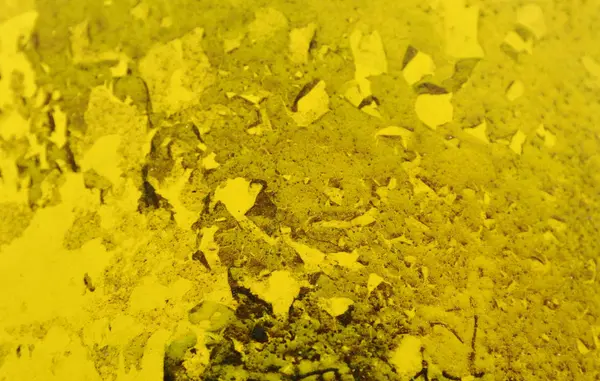  su ve kuru yosun lekesi sarı Plastik depo gözlerinde sıkışmış