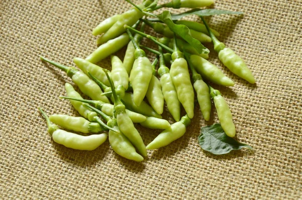 Fresh green chili harvesting on sackcloth — Stock Photo, Image
