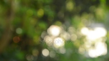 bulanık ışık ve Bahçe tesisi