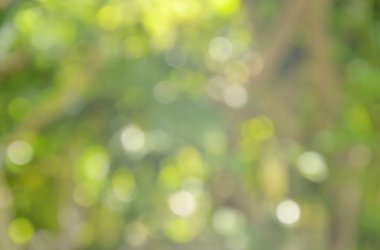  bulanık ışık ve Bahçe tesisi