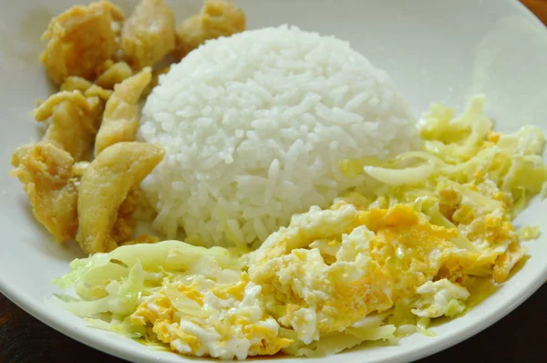 Fried cabbage with egg and salty chicken on rice — Stock Photo, Image