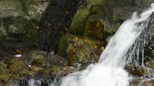 Inclinazione verso il basso della cascata caduta e ha colpito schizzi di roccia al fiume — Video Stock