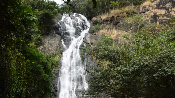 Sarika paesaggio alta cascata in Thailandia — Video Stock