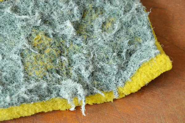 Alte grüne und gelbe Peeling Schwamm Textur und Hintergrund — Stockfoto
