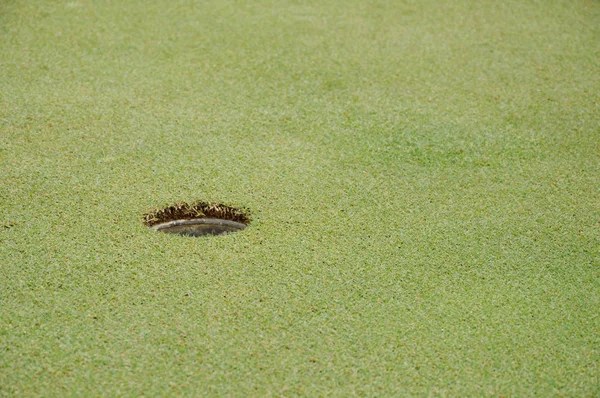 晴天绿色高尔夫球场上的洞 — 图库照片