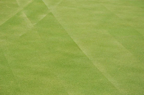 晴れた日に緑ゴルフ コート フィールド — ストック写真