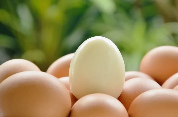 Buccia d'uovo bollita bianca fuori su piatto — Foto Stock