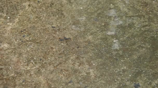 goutte de pluie dure et éclaboussures sur le sol de ciment dans le parc 