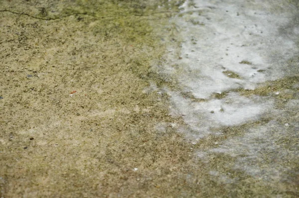Goutte de pluie dure et éclaboussures sur le sol de ciment dans le parc — Photo