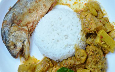  meyilli kızarmış uskumru kaplama yumurta sarısı ve haşlanmış tavuk bambu köri pirinç ile plaka üzerinde ateş