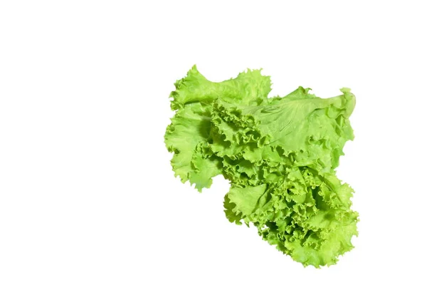 Lechuga Vegetal Fresca Sobre Fondo Blanco — Foto de Stock