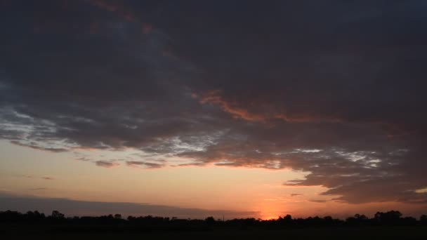 Pôr Sol Campo Paddy Tailândia Campo Noite — Vídeo de Stock