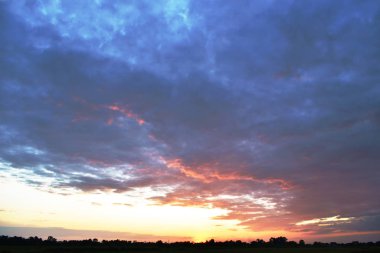  Akşam vakti Tayland kırsalındaki çeltik tarlasında gün batımı