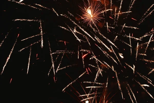  Gece karanlığında havai fişekler patlar