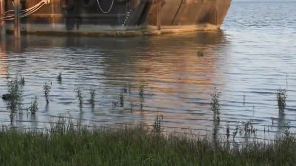 夜になるとコンテナ船を背景に川が流れ込み — ストック動画