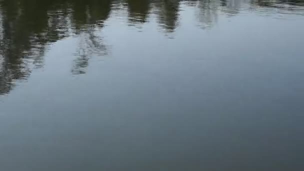 Вода Течет Движущихся Моторных Лодок Перемещающихся Реке Хюэ Вьетнам — стоковое видео