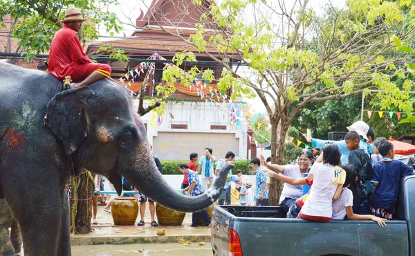Ayutthaya Thailand April 2013 Elephant Splash Water Songkarn Day — Stock Photo, Image
