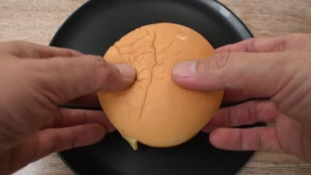 Hand Holding Cheese Hamburger Stuffed Grilled Pork Slice Tomato Onion — Stock Video