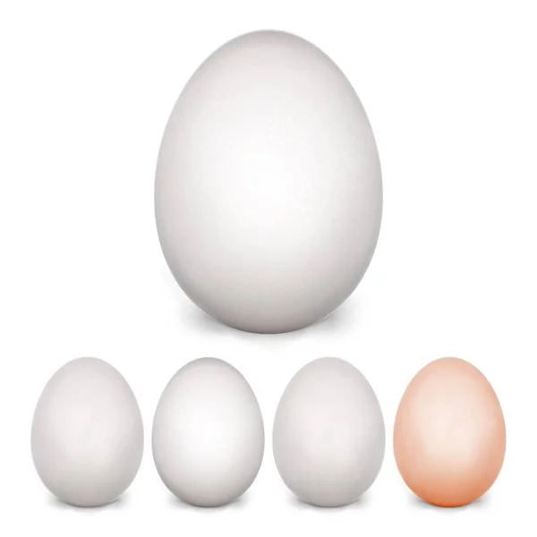 Conjunto de huevos de pollo. Aislado sobre fondo blanco. Realista en blanco del producto ecológico natural. Comida saludable. Símbolo de Pascua. Foto realista plantilla de huevo para su diseño. Ilustración vectorial — Archivo Imágenes Vectoriales