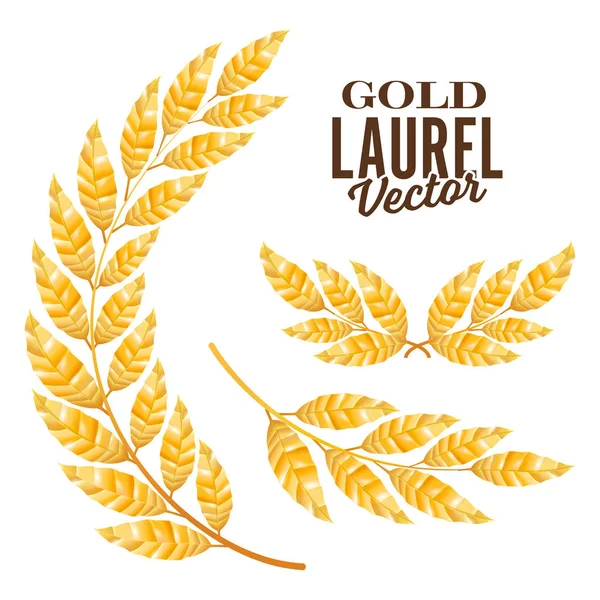 Ouro Laurel Vector. Elementos para o projeto do prêmio —  Vetores de Stock