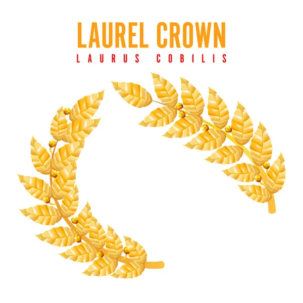 Laurel Crown. Grinalda grega com folhas douradas. Ilustração vetorial —  Vetores de Stock