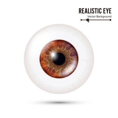 Realistic Detailed Human Eyeball. Vector Illustration clipart