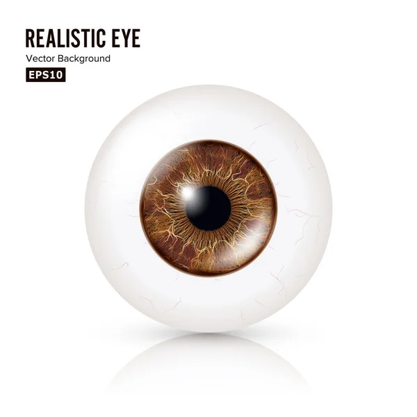 Realistické detailní lidského oka. Vektorové ilustrace — Stockový vektor