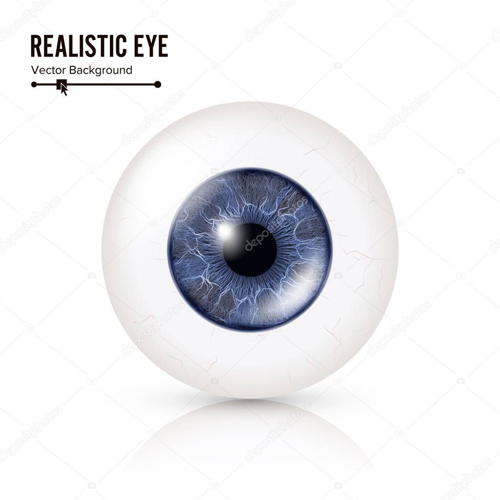 Realistic Human Eyeball. 3d Glossy Photorealistic Eye Detail With Shadow And Reflection. Isolated On White Background. Vector Illustration