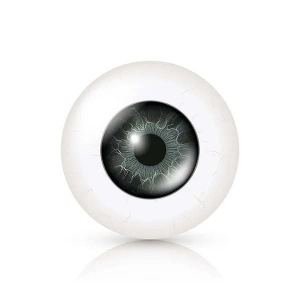 Augen zu und durch. Vektor Illustration von 3D menschlichen Hochglanz Foto rrealistischen Auge mit Schatten und Reflexion. Frontansicht. isoliert auf weißem Hintergrund — Stockvektor