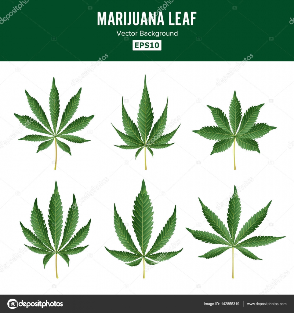 Сколько листов у марихуаны выращивание марихуаны размеры горшков