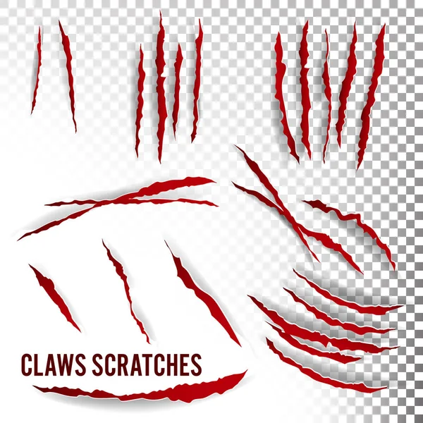 Claws krassen Vector. Transparante achtergrond. Realistische afbeelding — Stockvector