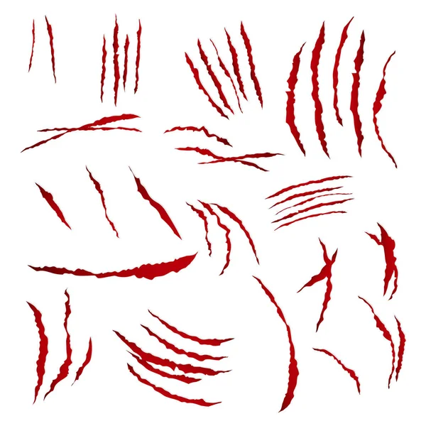 Pençeleri çizikler vektör. Beyaz arka plan üzerinde izole. Ayı veya Tiger Claw çizik kanlı pençe. Rendelenmiş kağıt