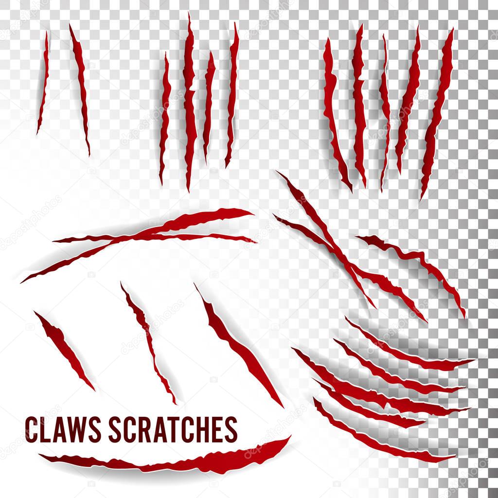 Claws Scratches Vector. Transparent Background. Realistic Illustration
