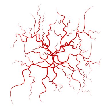 İnsan kan damarları vektör. Kırmızı kan damarları tasarım. İllüstrasyon izole beyaz arka plan üzerinde
