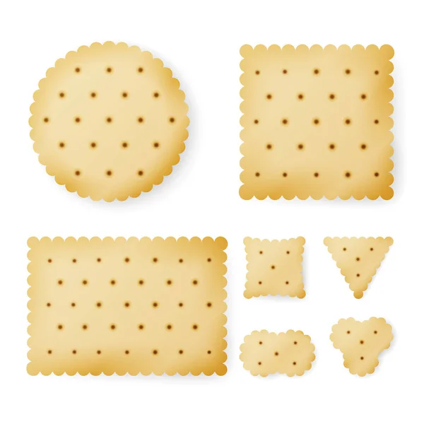 Cracker In Different Shapes. Yellow Cookie Vector. — Stock Vector