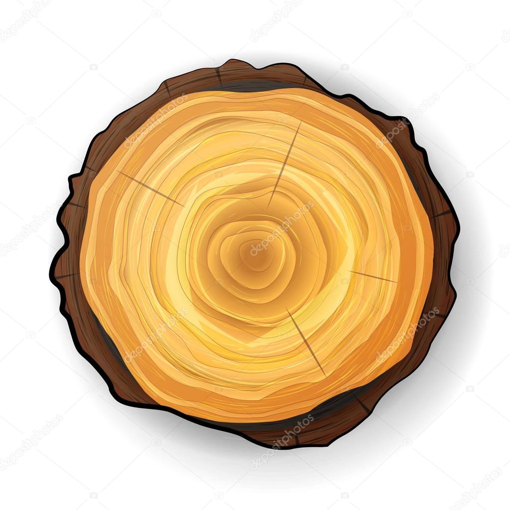 Cross Section Tree Wooden Stump Vector. Tree Round Cut With Annual Rings