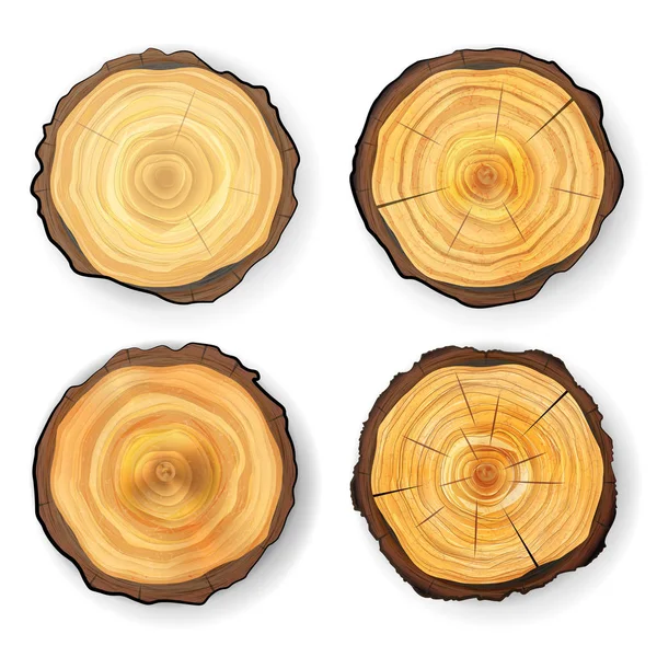 Tvärsnittet Tree Set trä stubbe vektor. Cirklar textur isolerade. Träd Round Cut med årsringar — Stock vektor