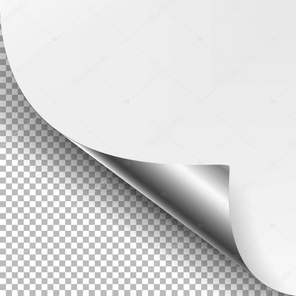 Curled Silver Metalic Corner Vector. White Paper with Shadow Mock up Close up Isolated on Transparent Background