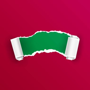 Yırtık kağıt bukleler vektör ile. Gerçekçi kağıt delik.