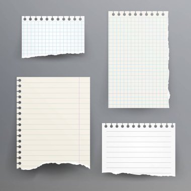 Yırtık kenar vektör çizim ile defter kağıtları. Kağıt sayfası kümesini sökük, boş hasarlı Rip kağıt.