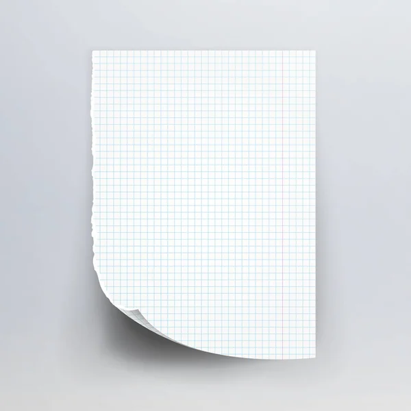 Papel de caderno com ilustração de vetor de borda rasgada. Folha da escola Page Paper — Vetor de Stock