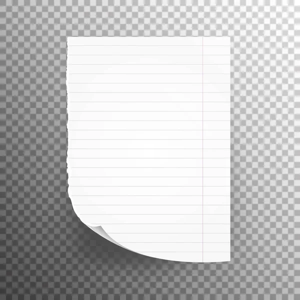 Papel de cuaderno con ilustración vectorial de borde roto. Hoja escolar Page Paper — Vector de stock