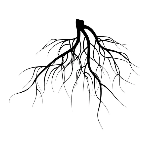 Árbol de raíces subterráneas conjunto de vectores. Ilustración aislada sobre fondo blanco — Vector de stock