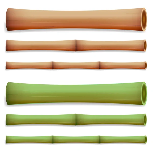 Bambusové stonky, samostatný. Zelené a hnědé tyčinky. Vektorové ilustrace. Realistický prvek pro návrh. — Stockový vektor