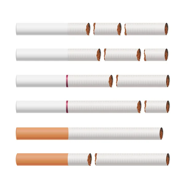 Vector de cigarrillos rotos. Fumar mata. El concepto de salud médica deja de fumar. Hojas de tabaco. Ilustración realista. Aislado en blanco . — Archivo Imágenes Vectoriales