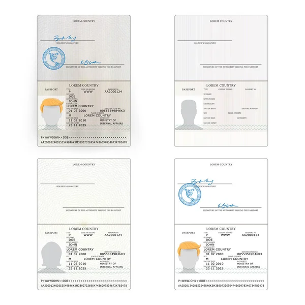 国际护照集的向量。个人数据的示例页。国际身份证明文件。商务，旅游概念. — 图库矢量图片